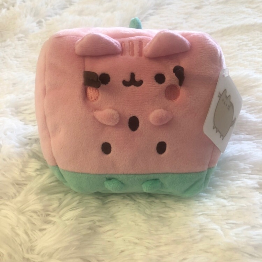 Pusheen Watermelon 6”